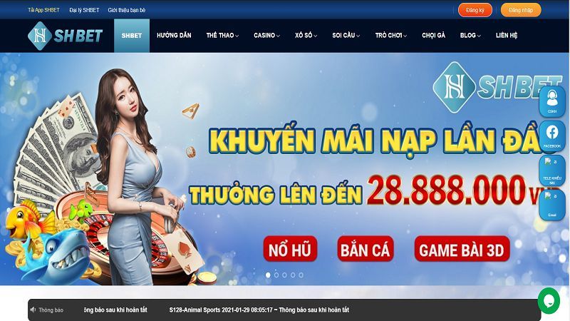 SHBet - Thương hiệu cá cược đẳng cấp, dẫn đầu xu hướng